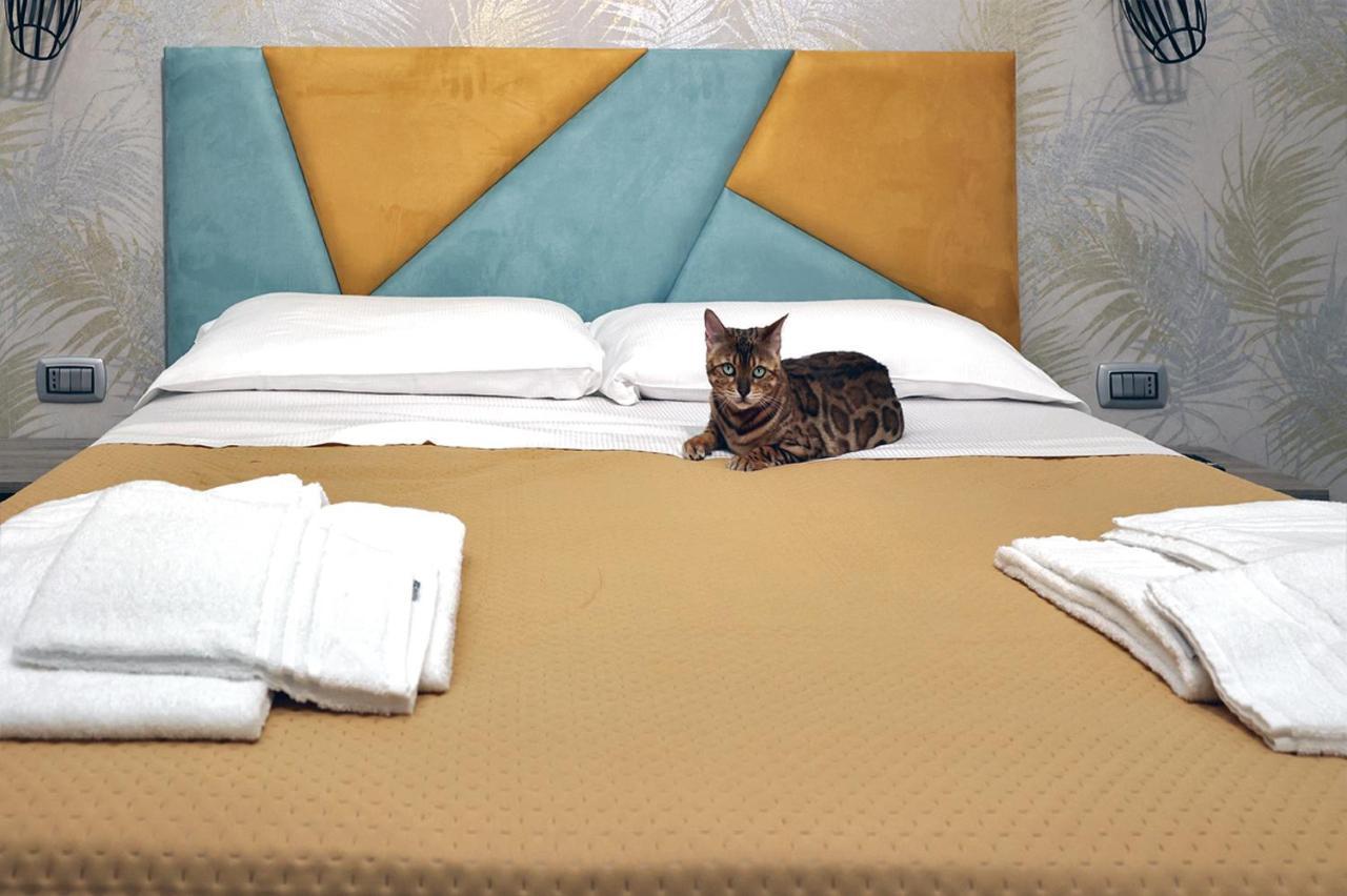 ポンテカニャーノ Toc Toc Bed & Breakfast エクステリア 写真